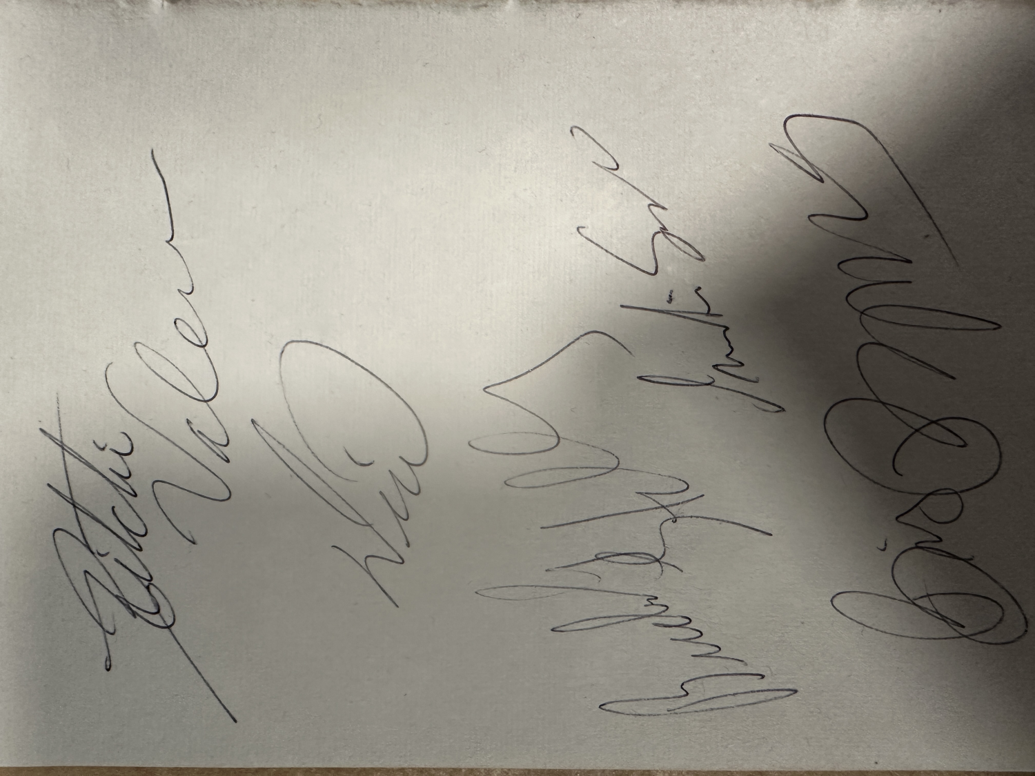 Winter Dance Party Cut Autograph HOLLY VALENS